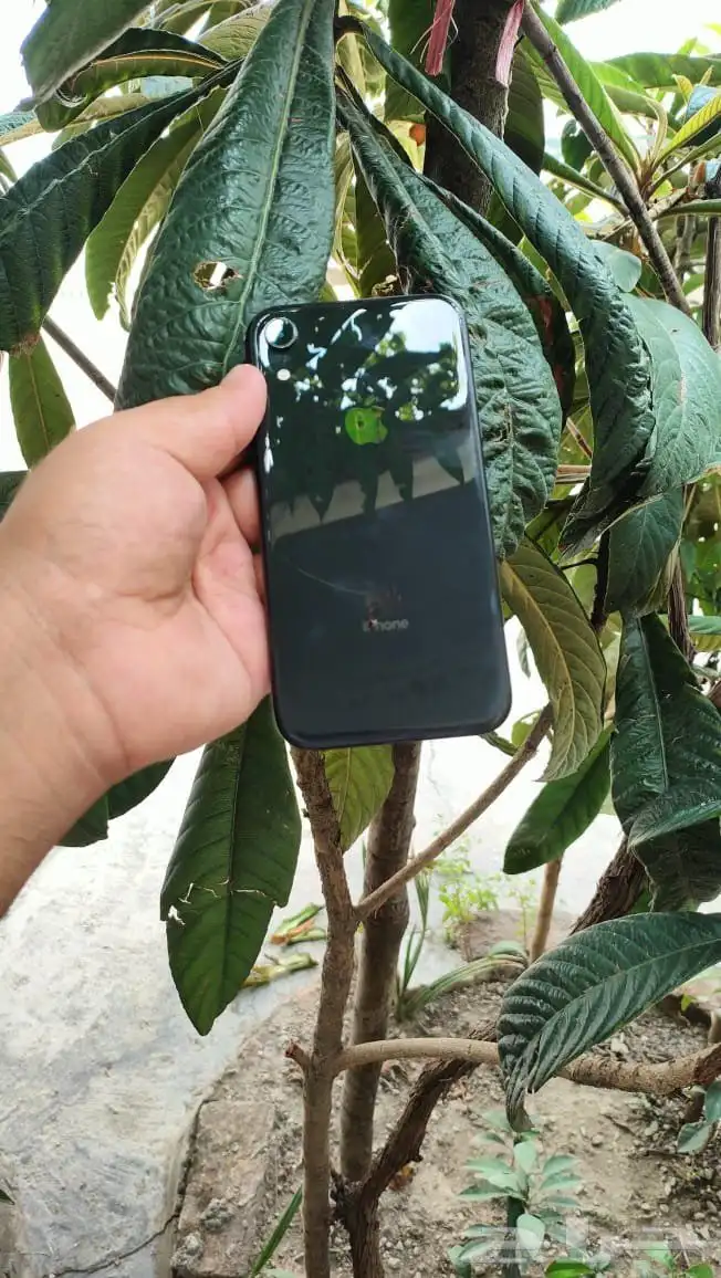 IPhone XR Storage 128 Space face id ok Battery 92 index