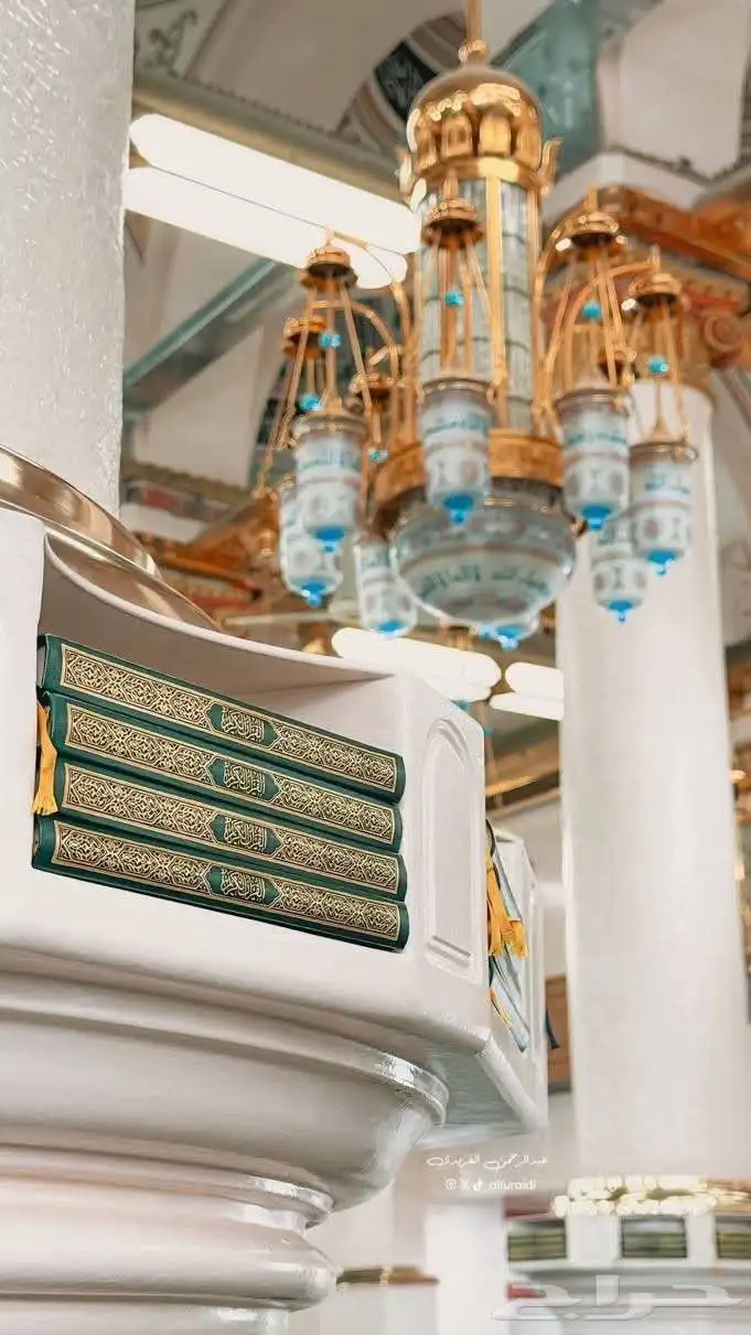 محفظ قرآن كريم بالقراءات العشر الصغري والكبري 0