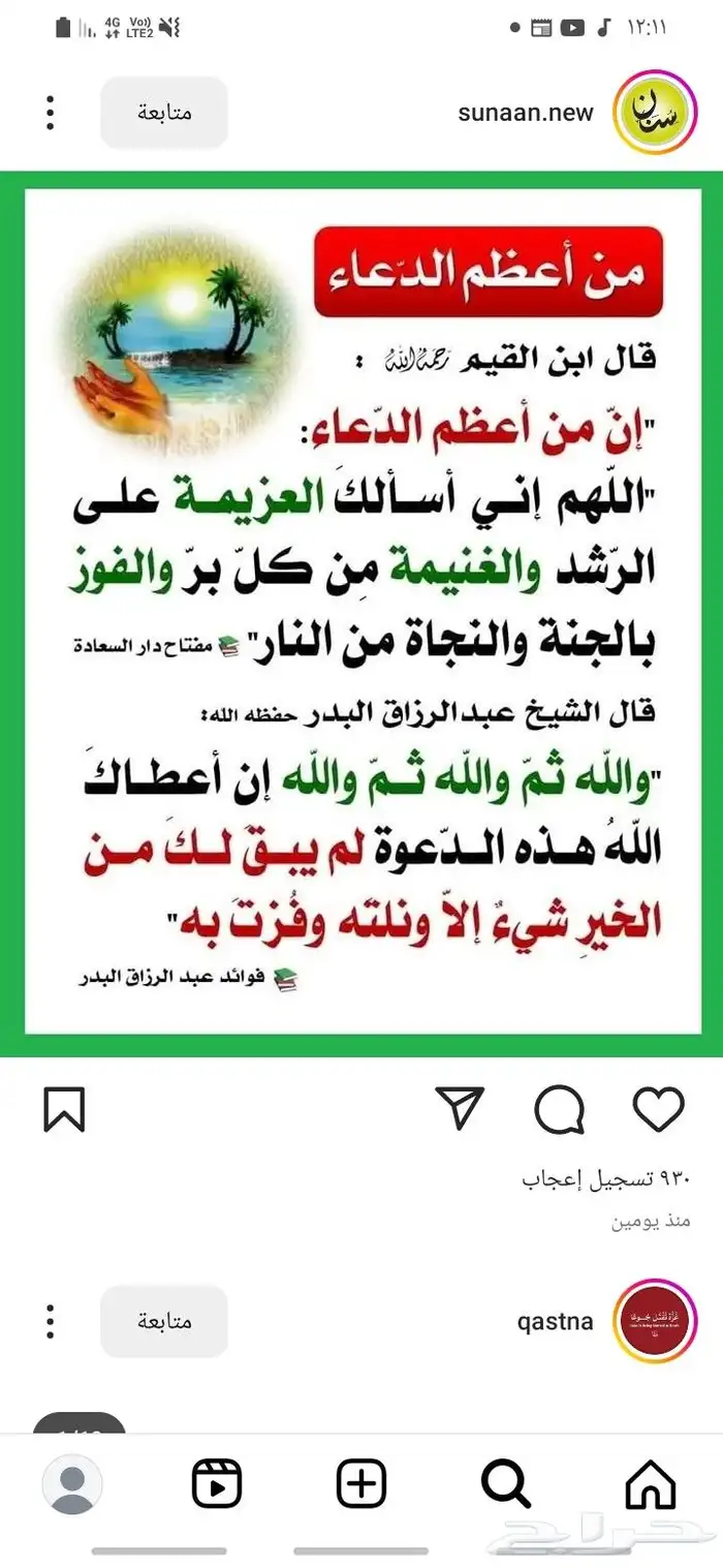القنفذه 2