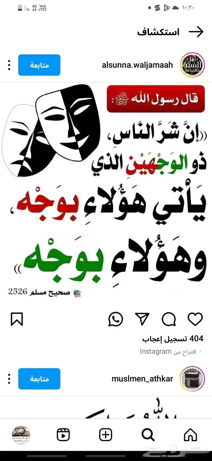 القنفذه 6