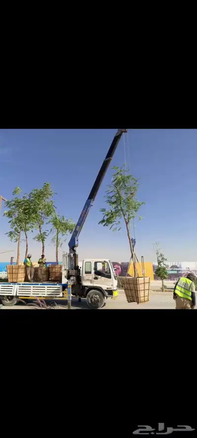 سطحات ونش بوم تراك 3طن5طن7طن10طن للايجار 9