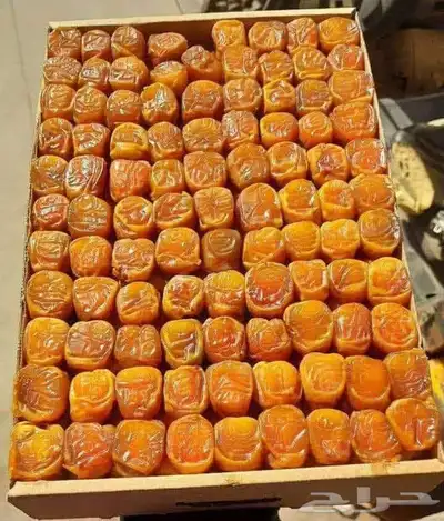 السلام عليكم يوجد لدينا نخل طيب سكري مشدول صقعي هلالي عنبره 0