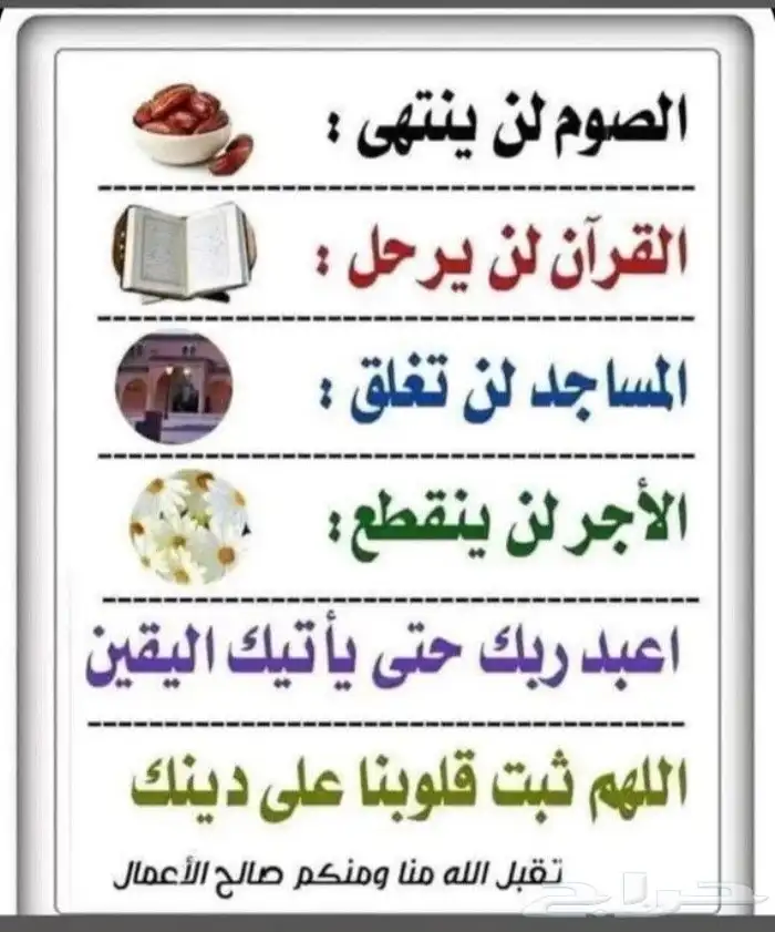 القنفذه 5