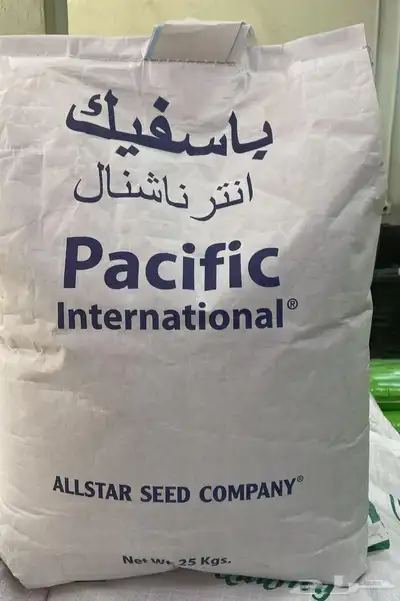 يوجد بذور برسيم أمريكى انتاج جديد ك 101 1