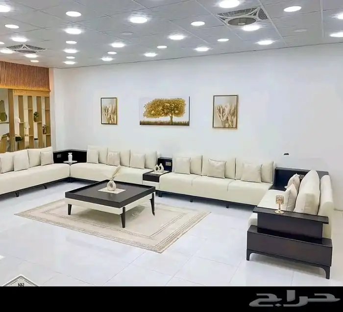 تفصيل ستاير و كنب وتلبيس 1