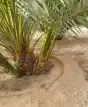 يوجد لدينا جميع انواع الفسايل 3