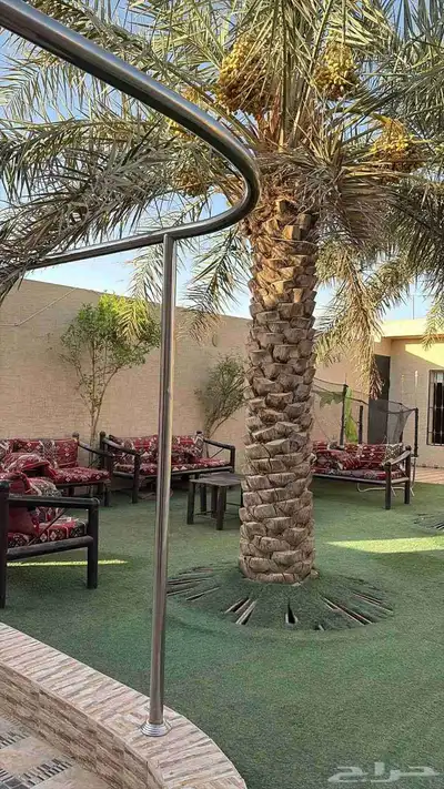 تخفيض لفتره محدوده فقط لمده ثلاثه ايام حصلو العرض 5