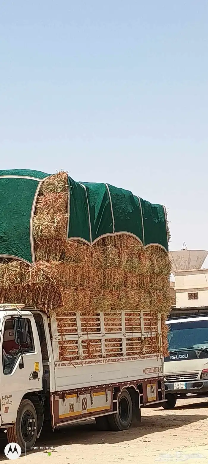 ماشاءالل  دور  ناعم 0