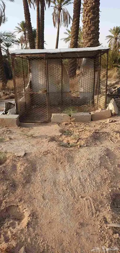شبك مستعمل 1