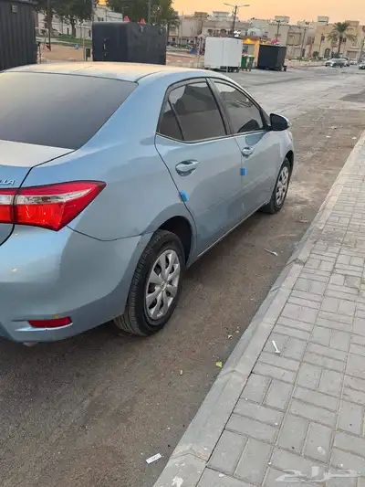 كورلا مديل 2015 13