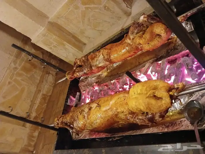 خروف الجمر من مزرعتنا  عند الطلب يتم تقديم   رز بشاور بالزب 2