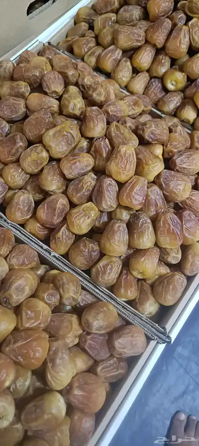 بيع التمور 3