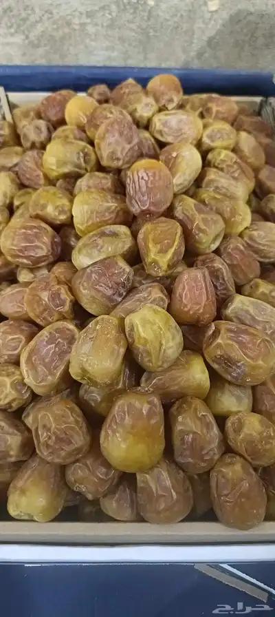 بيع التمور 1