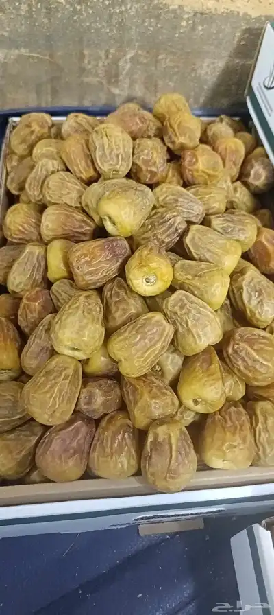 بيع التمور 0