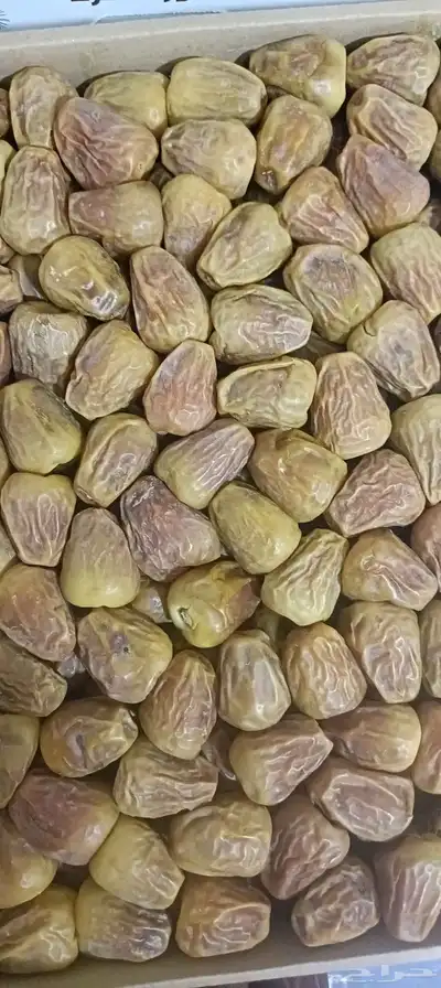 بيع التمور 2