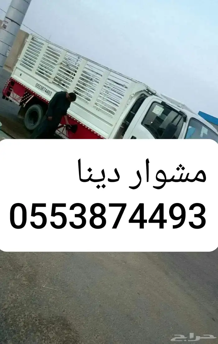 مشوار دينا 0