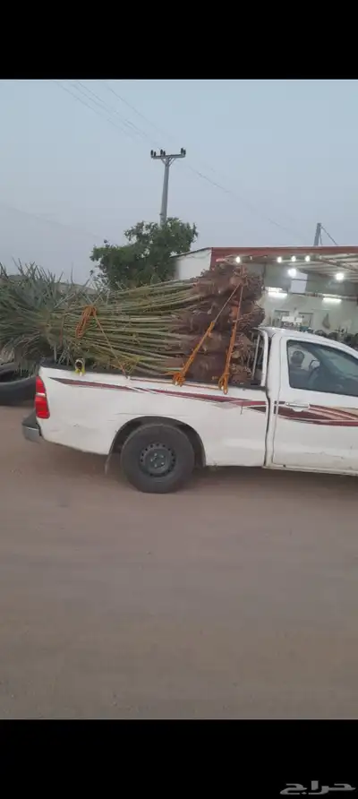 يوجد لدينا جميع انواع انخيل 0