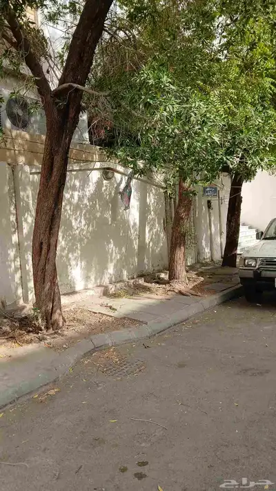 معلم قص اشجار وزراعه الاشجار وزراعه النخيل وتنظيف الحدائق وج 9