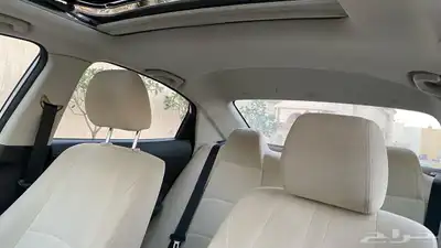 شانجان السفن نظيفة 2023 12