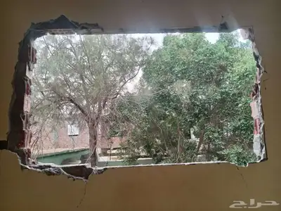 معلم قص اشجار وزراعه الاشجار وزراعه النخيل وتنظيف الحدائق وج 15