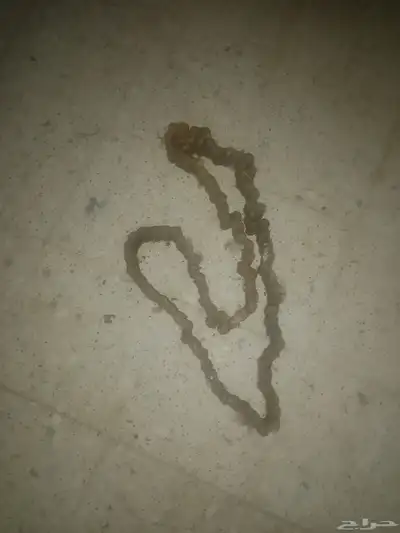 بكرة ونش مع خطاف للبيع 0