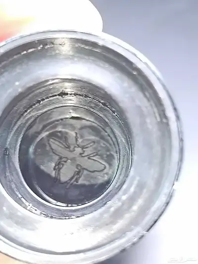 عطور فخمة و فيرمونتي 18 شباب وصبايا 15