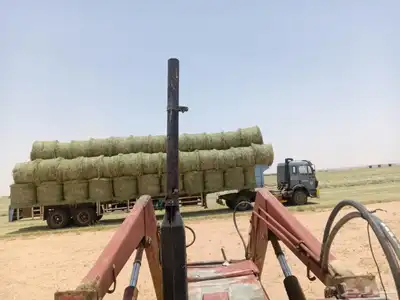 الفات رودس 2