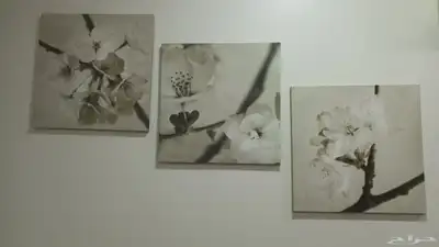 طاولة سفرة و كراسي و ديكور منزلي 6
