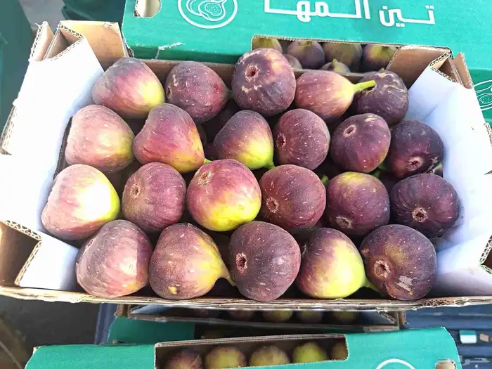 توريد خضار القصيم الى جميع المدن 9