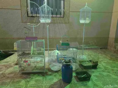للبيع شبوك وعربيات أطفال 3