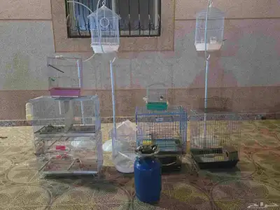 للبيع شبوك وعربيات أطفال 5