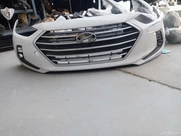 صدام امامي لنترا 2017 1