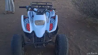 دباب سويدي 100 1
