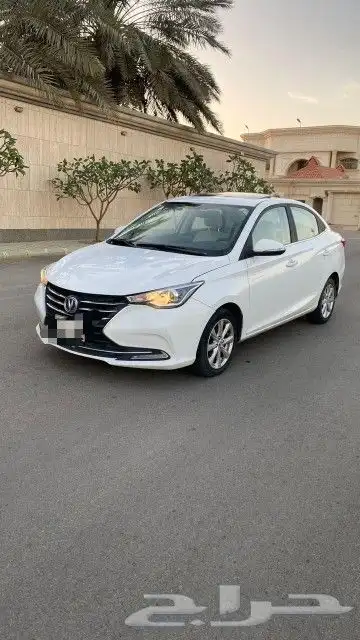 شانجان السفن نظيفة 2023 6