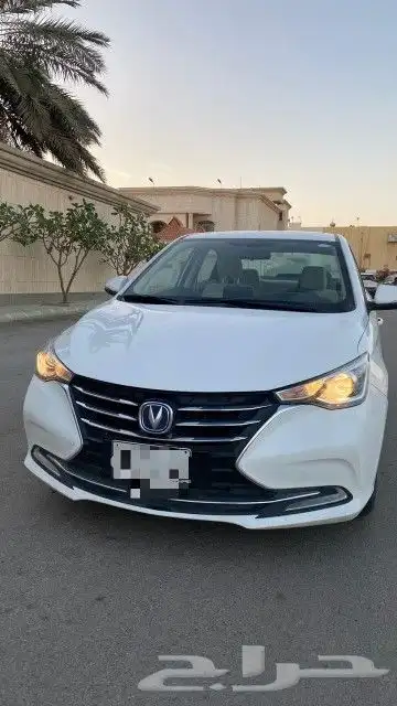 شانجان السفن نظيفة 2023 5