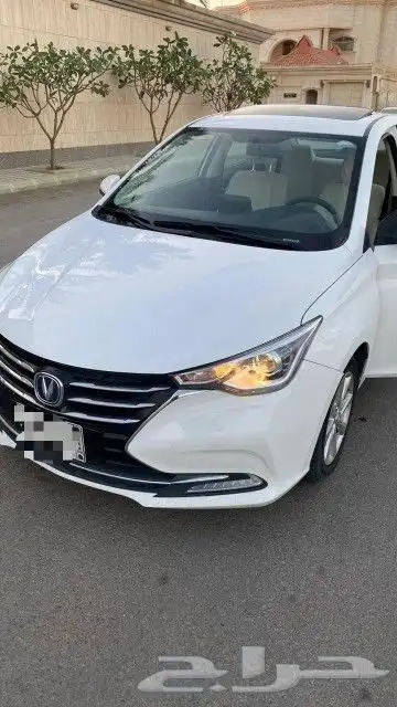 شانجان السفن نظيفة 2023 4