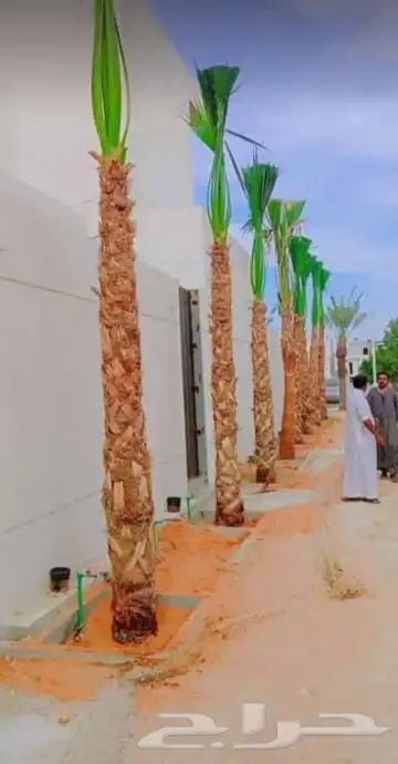 السلام عليكم ورحمه الله وبركاته طيب نخليه يستمر ونخرج زينه و 6