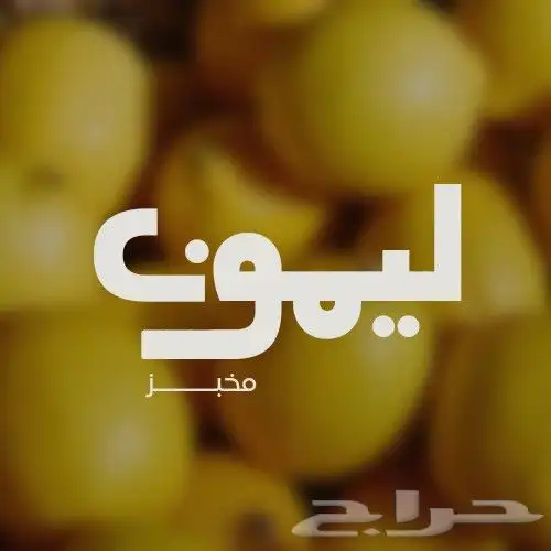 تصميم شعار احترافي 5