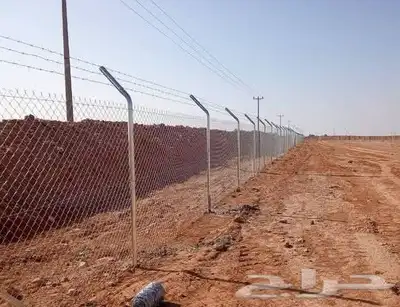 يوجد لدينا فروخ جميع انواع النخل من يحب يغرس نخل او فروخ 6