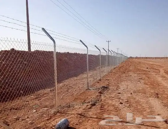 يوجد لدينا فروخ جميع انواع النخل من يحب يغرس نخل او فروخ 6