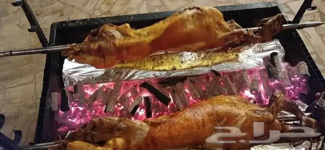 خروف الجمر من مزرعتنا  عند الطلب يتم تقديم   رز بشاور بالزب 4