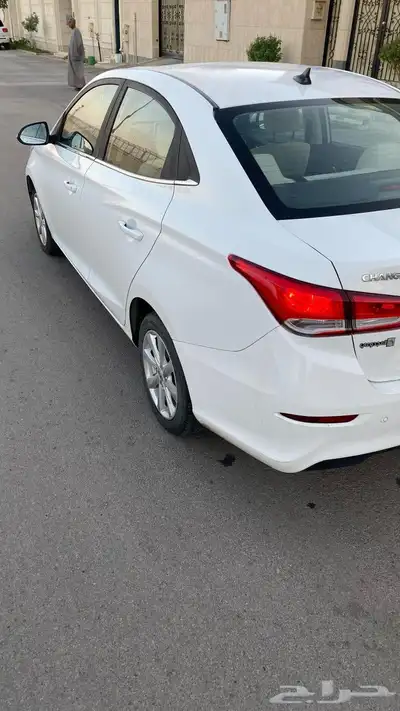 شانجان السفن نظيفة 2023 8