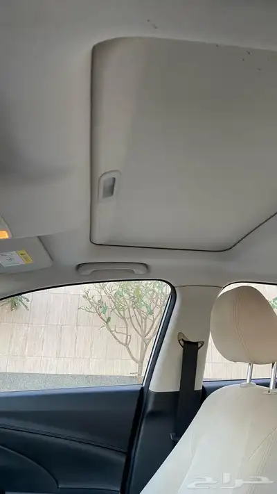 شانجان السفن نظيفة 2023 11