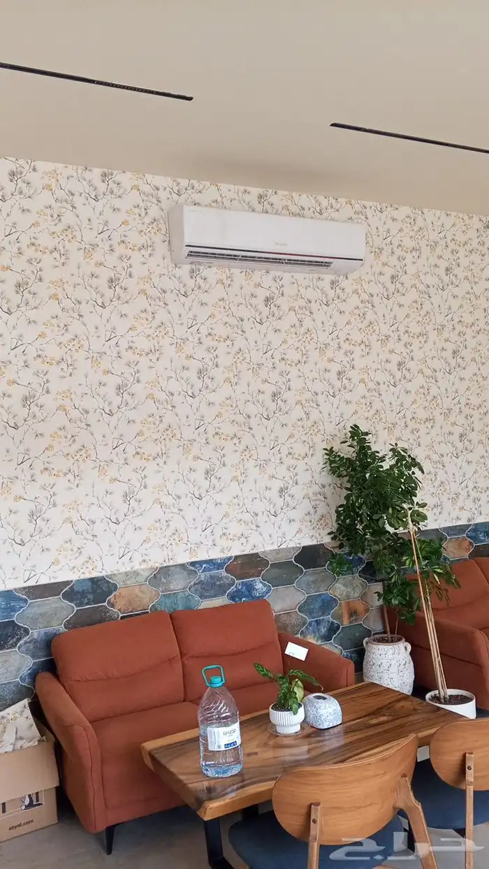 صباغ الأحساء 1