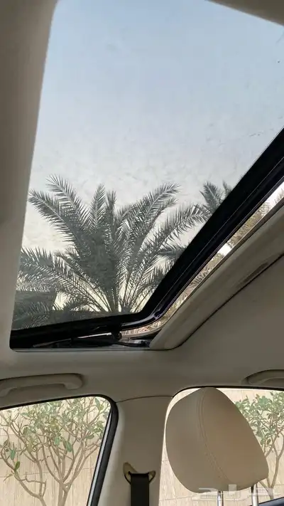 شانجان السفن نظيفة 2023 10
