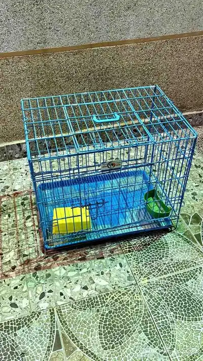 للبيع شبوك وعربيات أطفال 9