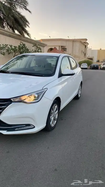 شانجان السفن نظيفة 2023 0
