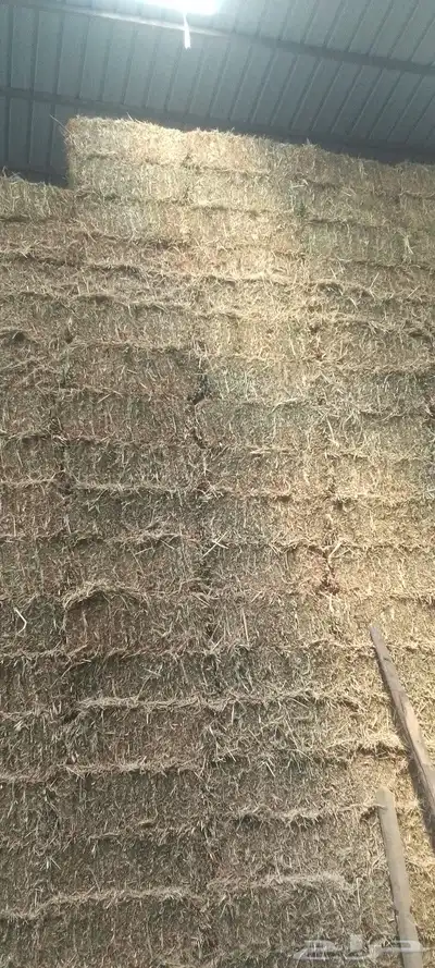جميع انواع الاعلاف المواشي للتواصل 2
