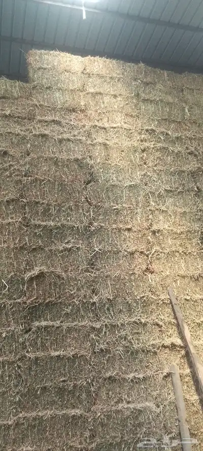 جميع انواع الاعلاف المواشي للتواصل 3