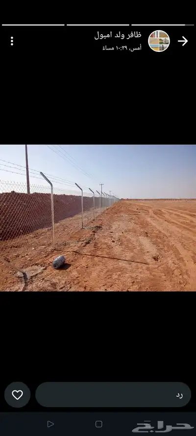 يوجد لدينا فروخ جميع انواع النخل من يحب يغرس نخل او فروخ 7